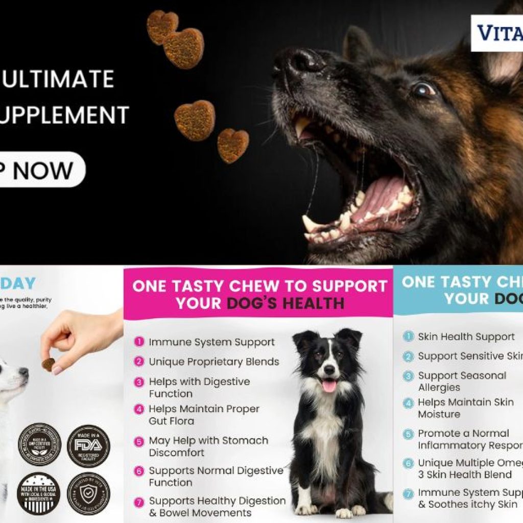 Boost Your Dog’s Digestive Health with Gentle Prebiotics Boost Your Dog’s Digestive Health with Gentle Prebiotics