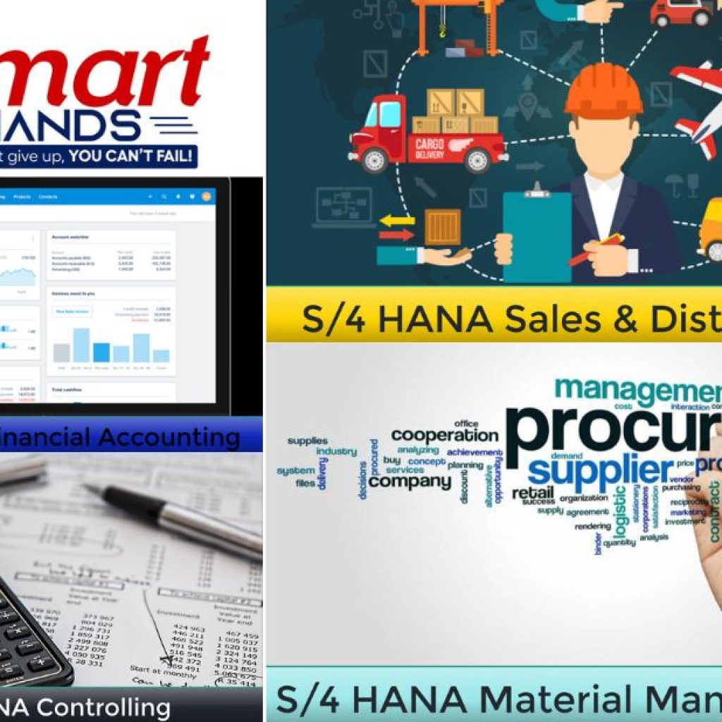 Sap Training With Placement | Thesmarthands.com Sap Training With Placement | Thesmarthands.com
