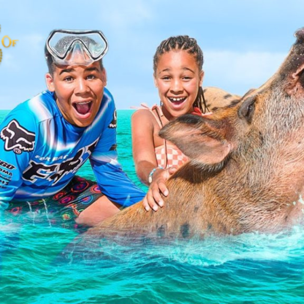 Discover a Serene Bahamas Island Escape — Day Trip Highlights Discover a Serene Bahamas Island Escape — Day Trip Highlights