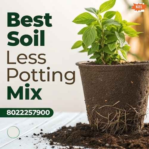 Best Soil Less Potting Mix for Healthy Roots