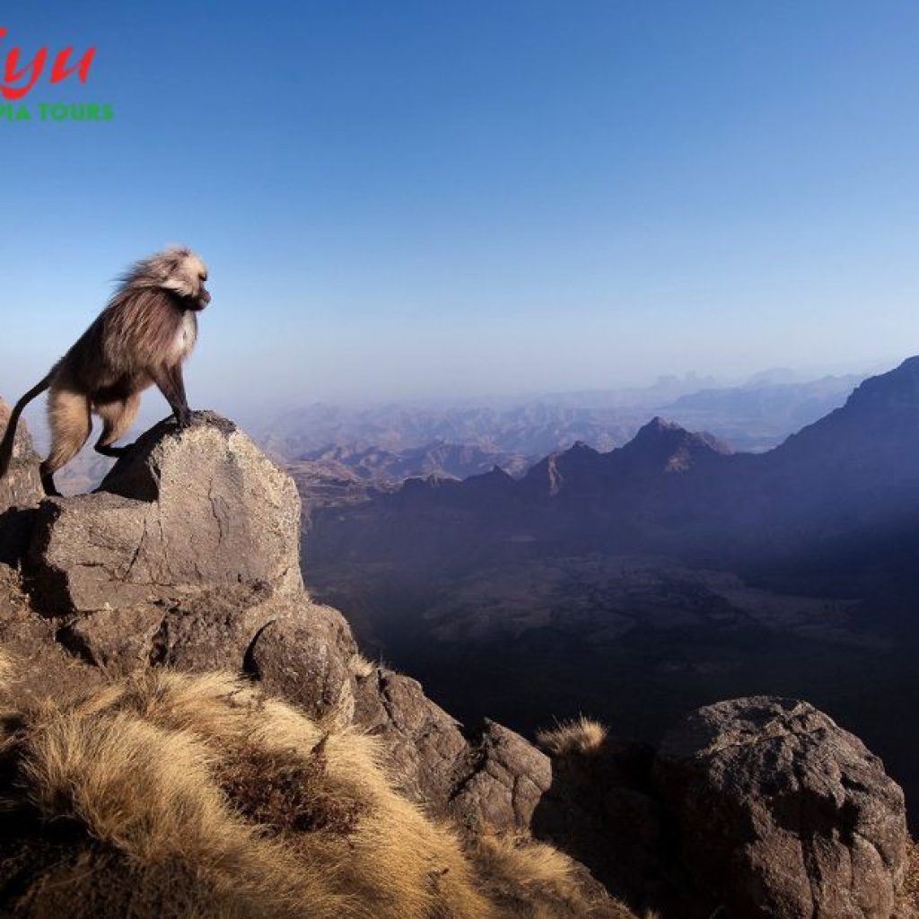 Explore Ethiopia: Tailored Tours, Guides, and Unforgettable Journeys