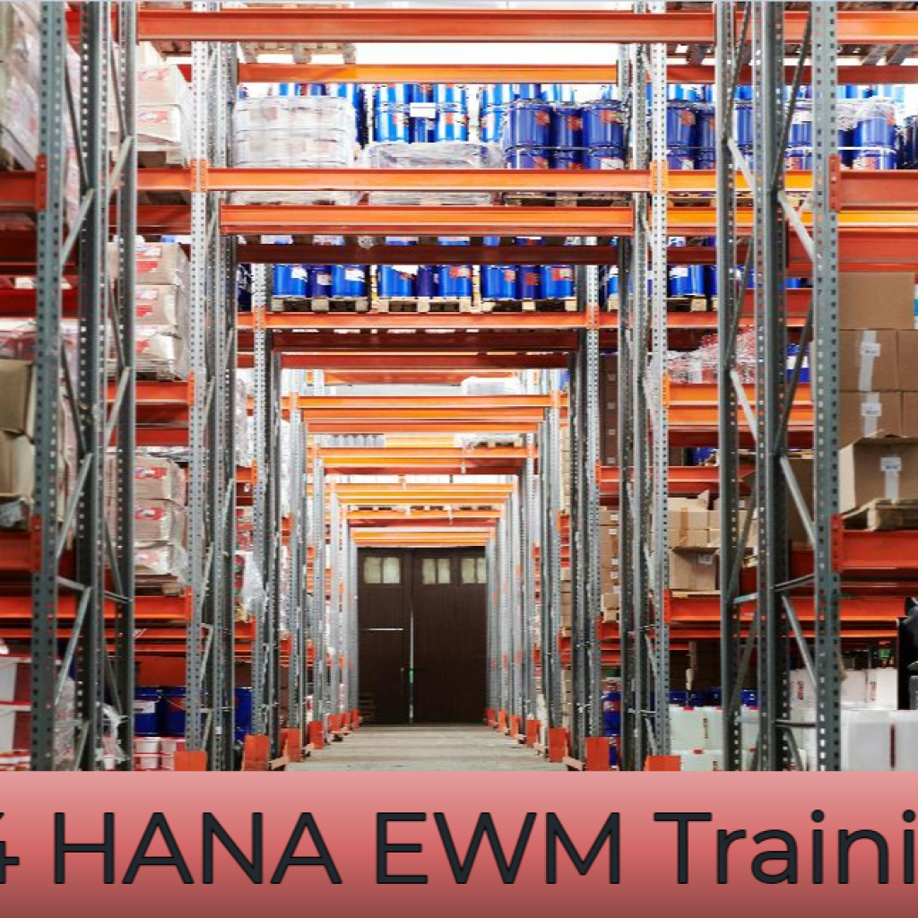Master SAP S/4HANA Finance: Expert Training & Real-Time Insights
