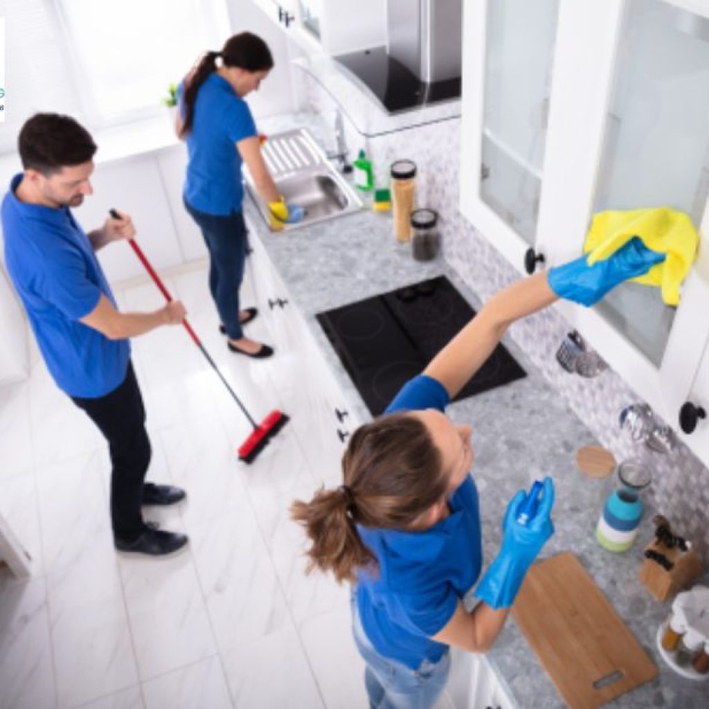 Discover Highly Rated Cleaning Services in New Zealand Discover Highly Rated Cleaning Services in New Zealand
