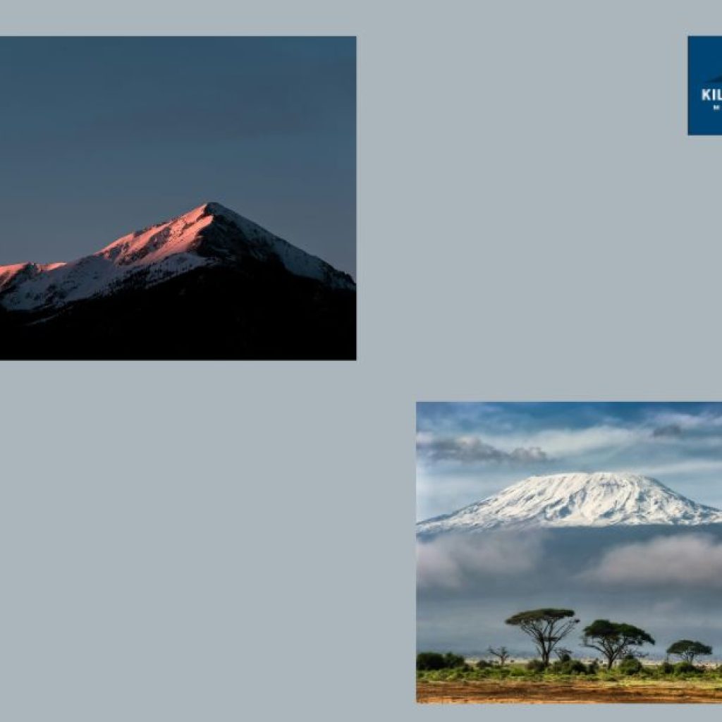Epic Heights: Guided Kilimanjaro Expeditions for All Traversing the Roof of Africa