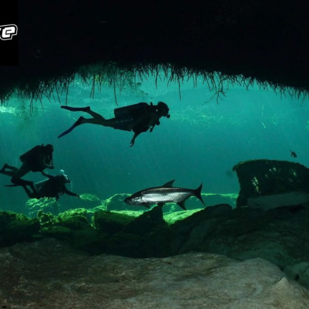 Exploring Subterranean Blue: A Guide to Cenote Diving Adventures