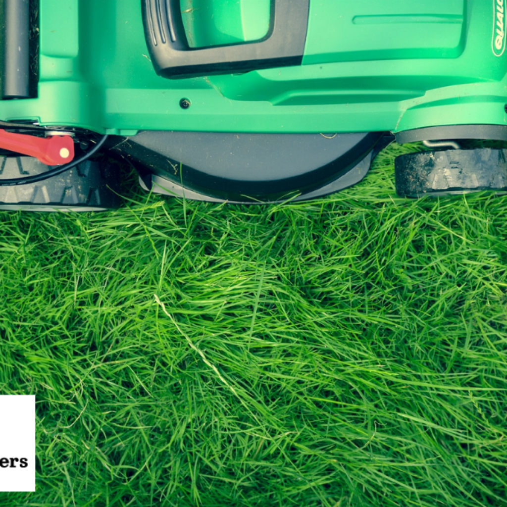 Professional Weeding Landscaping Services for Pristine Gardens