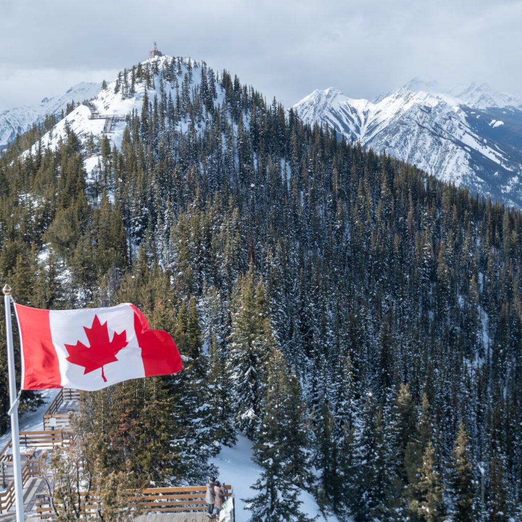 reconnecting families: expert immigration guidance for sponsorship