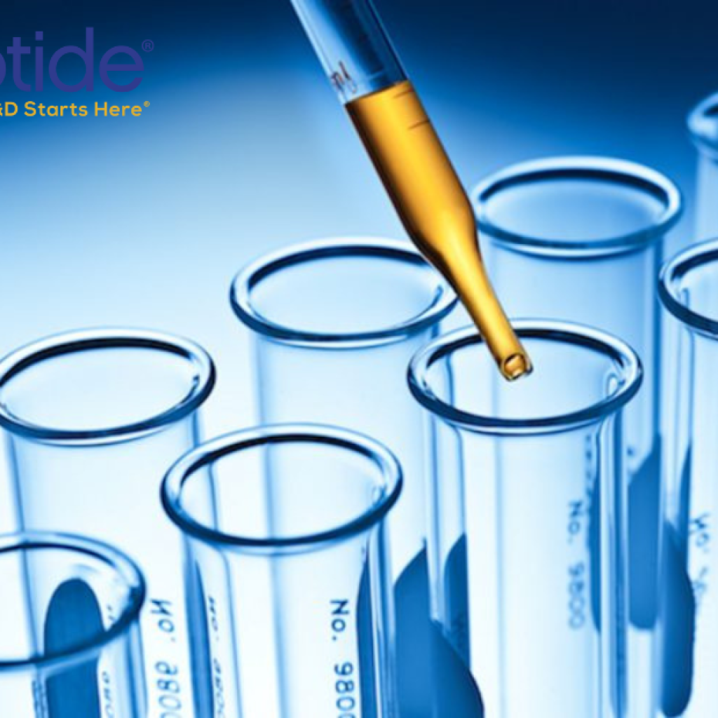 Recombinant Tau Protein | rPeptide