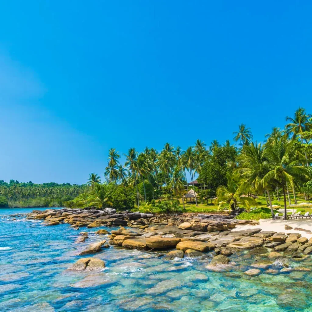 Explore Hawaii by Car: Practical Tips for Your Island Getaway Explore Hawaii by Car: Practical Tips for Your Island Getaway