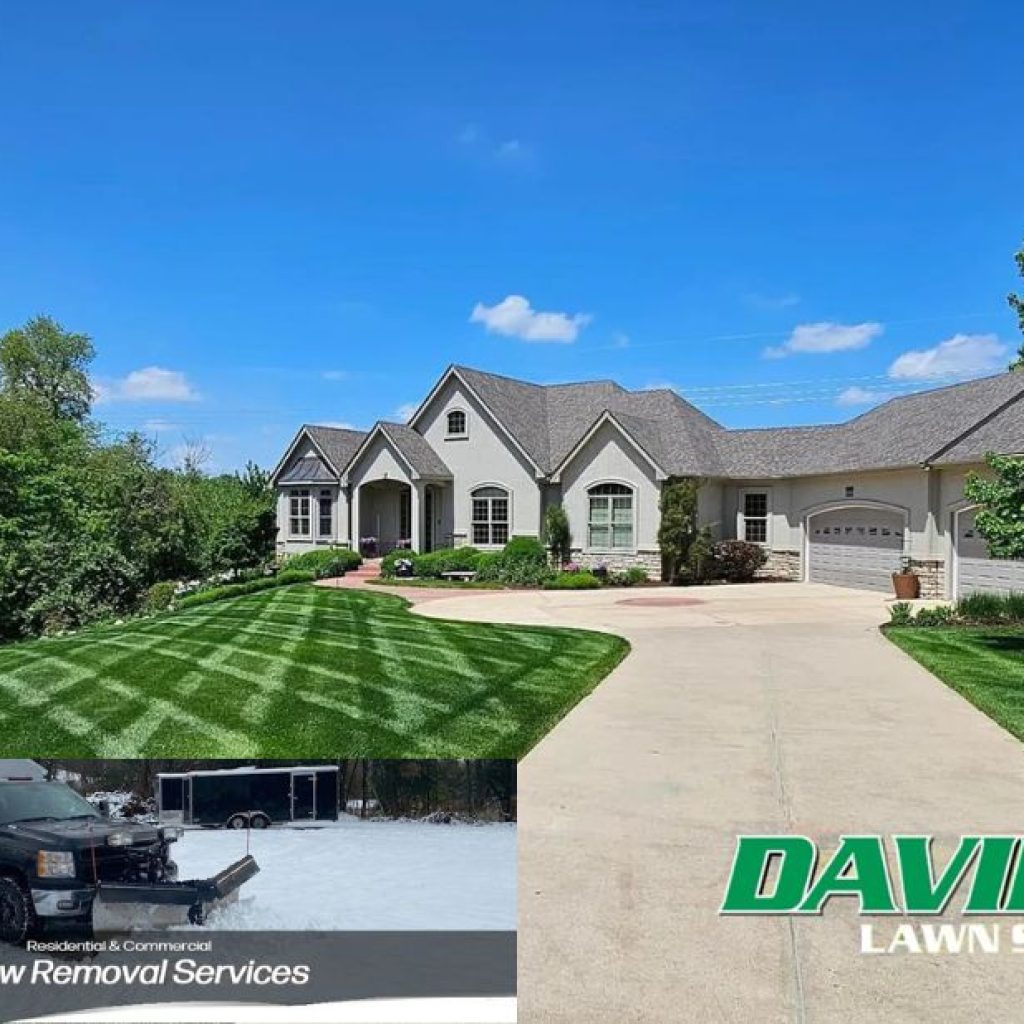 Achieve a Pristine, Healthy Lawn with Expert Tips and Services