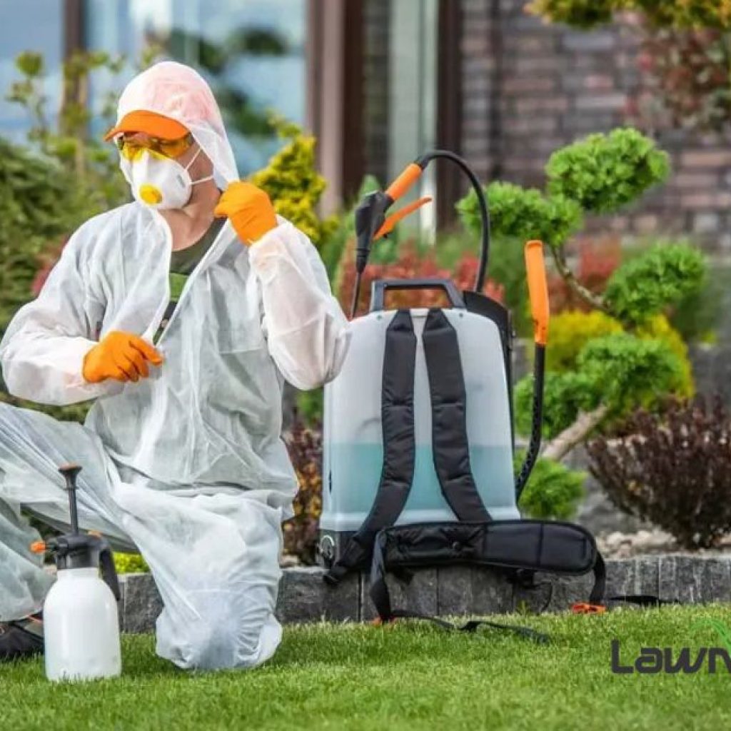 Lawn Care Eastchester NY: Expert Green Space Maintenance Lawn Care Eastchester NY: Expert Green Space Maintenance