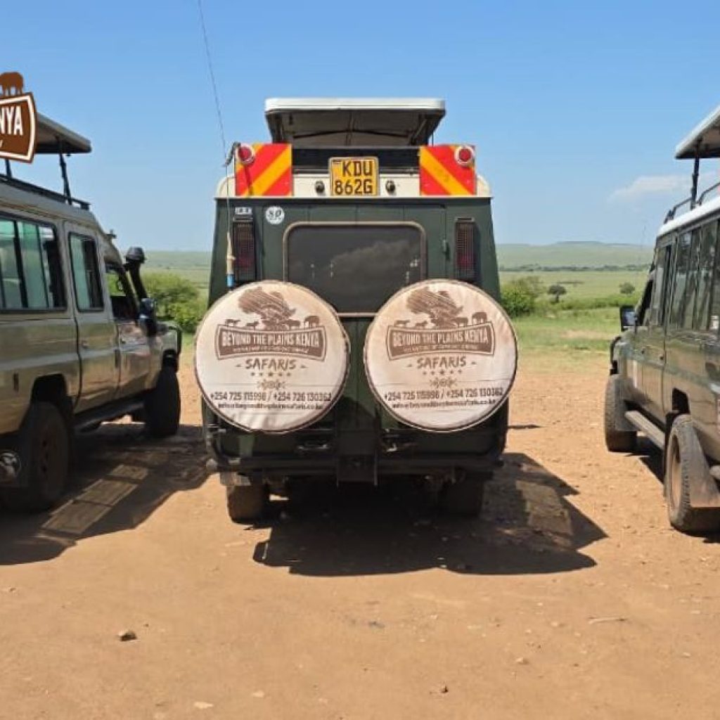 Explore Tanzania’s iconic protected lands: wildlife, scenery, and culture Explore Tanzania’s iconic protected lands: wildlife, scenery, and culture