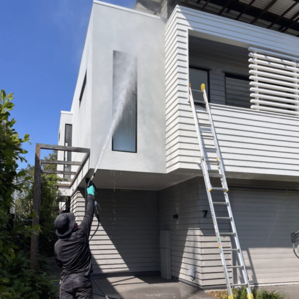 Top-Rated Roof Cleaning Services Near You for a Fresh Look