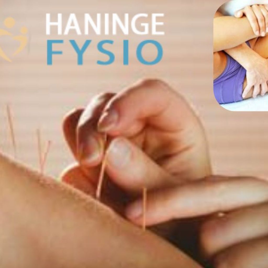 Porfylld vård närhet: Specialisttjänster i Haninge