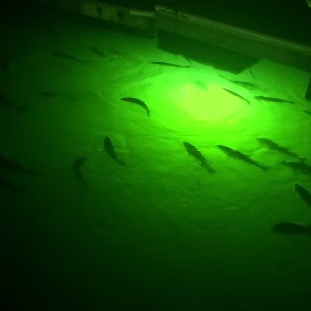 Illuminate Better Fishing Nights with Advanced Dock Lights