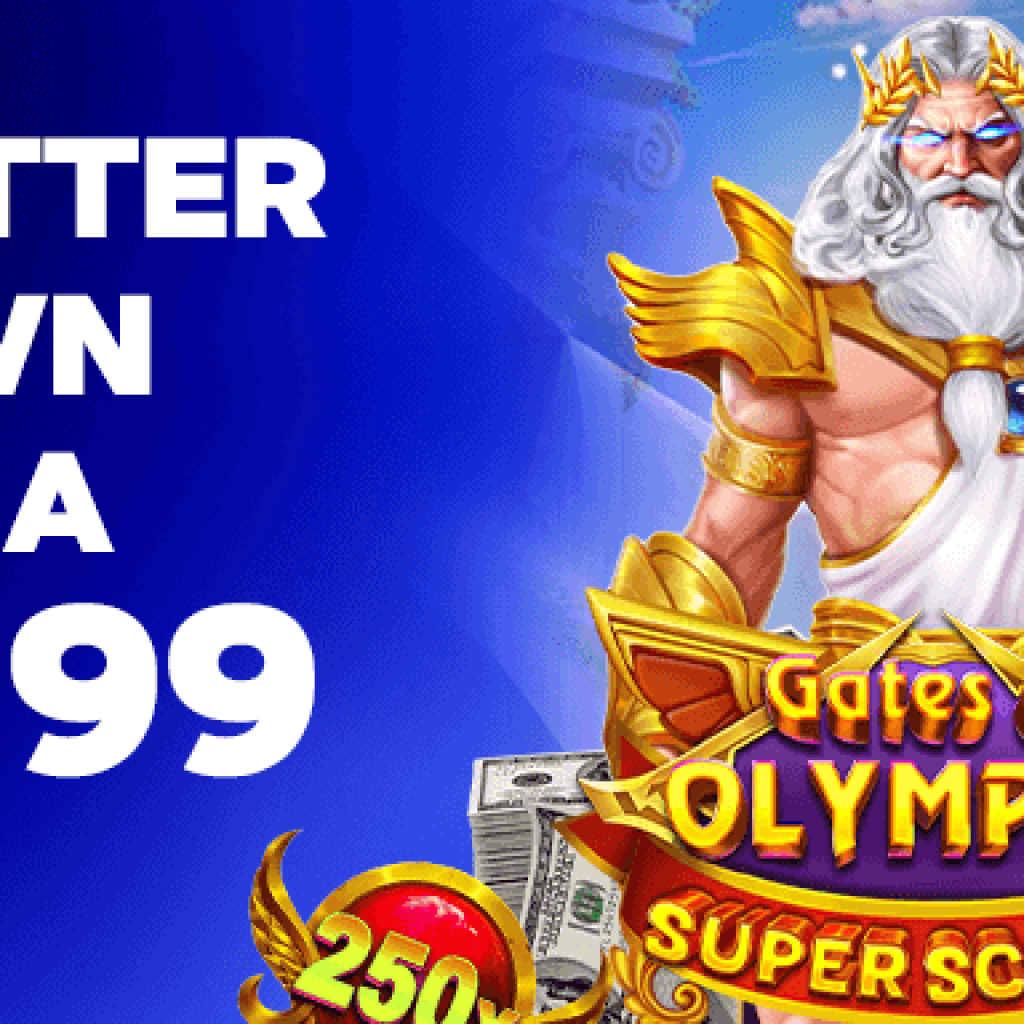 Best online slots and bingo platforms for players Best online slots and bingo platforms for players
