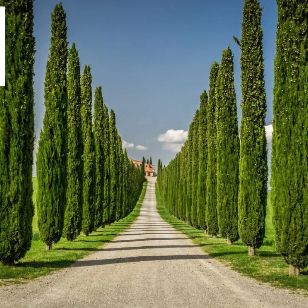 Luxurious Italian Villas with Private Pools for Your Getaway