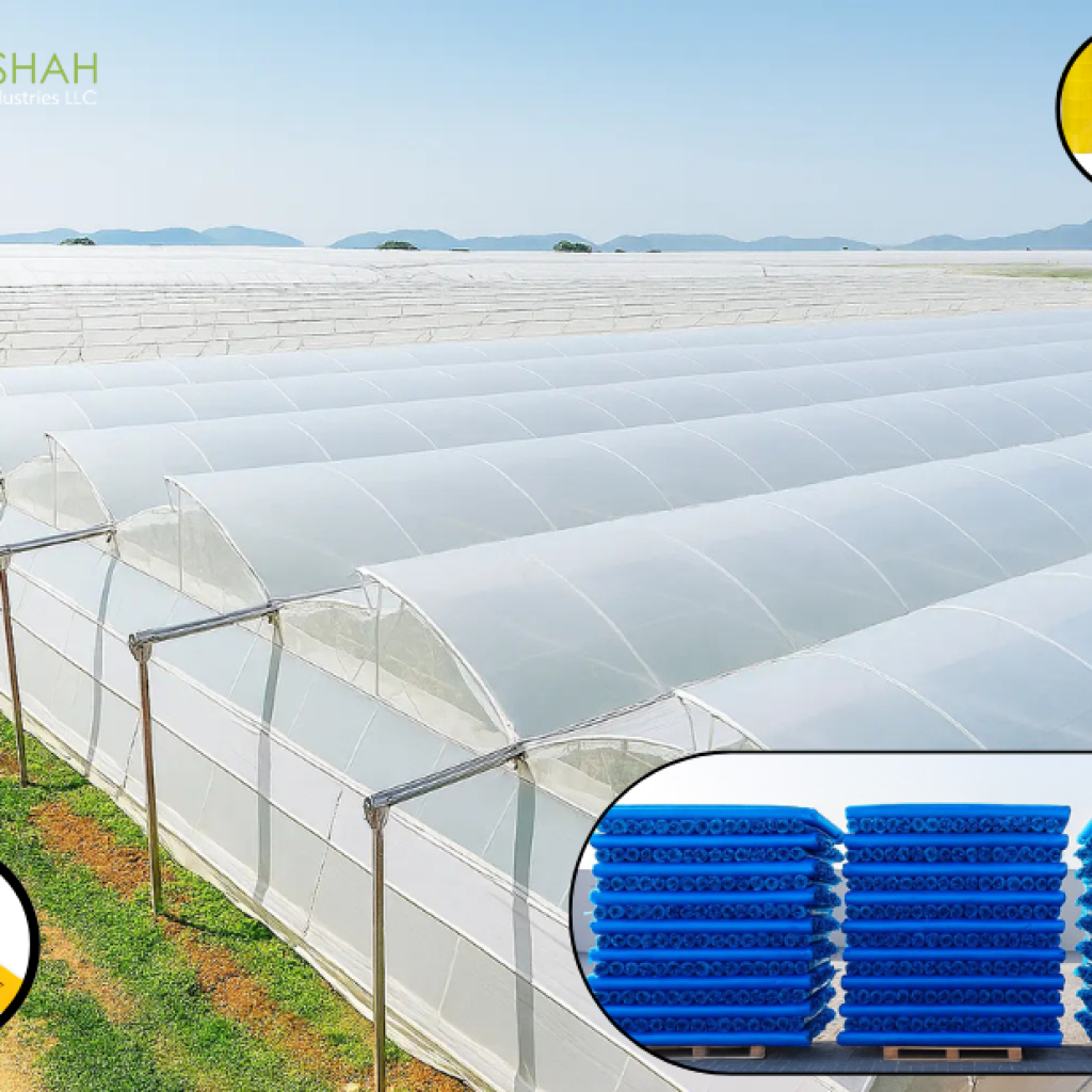 Reliable Adhesive Solutions for UAE Projects
