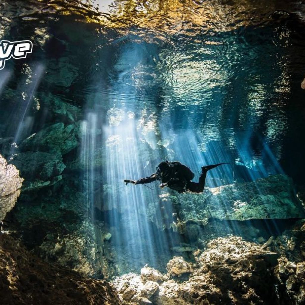 Explore World-Class Cenotes: A Memorable Diving Adventure