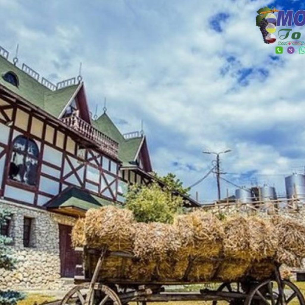Explore Moldova’s Charming Cities: Top Guided Tours & Highlights