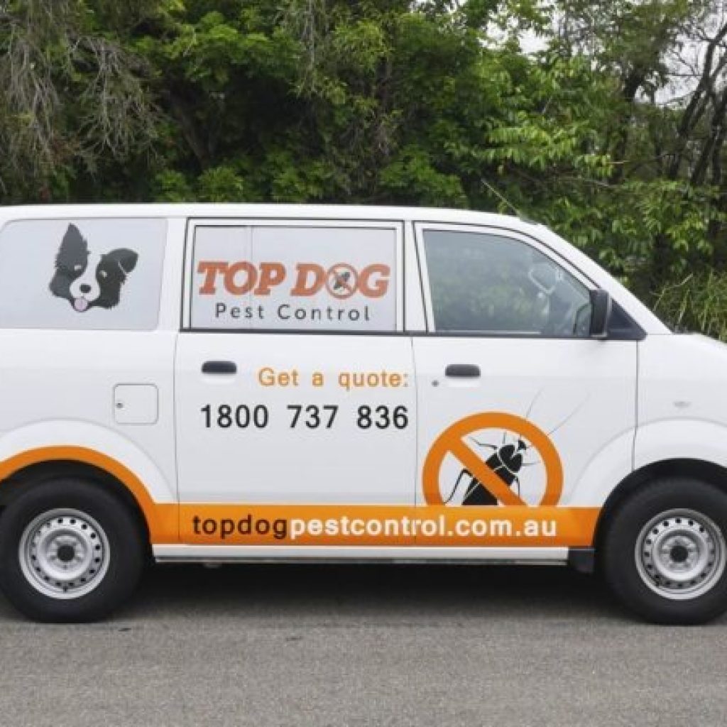 Reliable Pest Solutions for Nerang Homes and Businesses