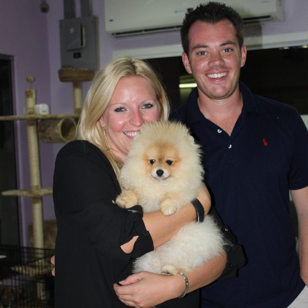 Trusted Pet Relocation Help for Qatar-bound Moves
