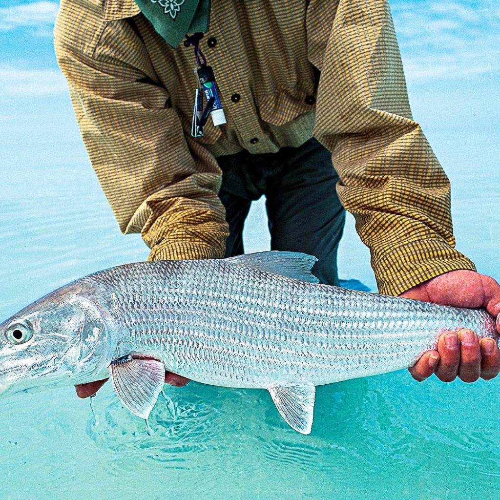 Chasing Trophy Bonefish: Bahamas Angling Adventure