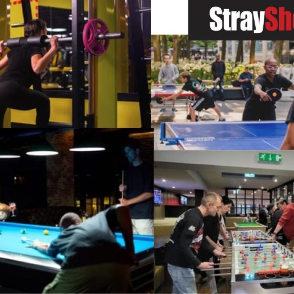 Ontdek betrouwbare sportapparatuur voor thuis en gym Ontdek betrouwbare sportapparatuur voor thuis en gym