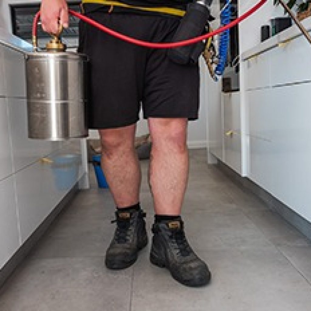Local Pest Solutions for Your Nerang Home and Business Local Pest Solutions for Your Nerang Home and Business