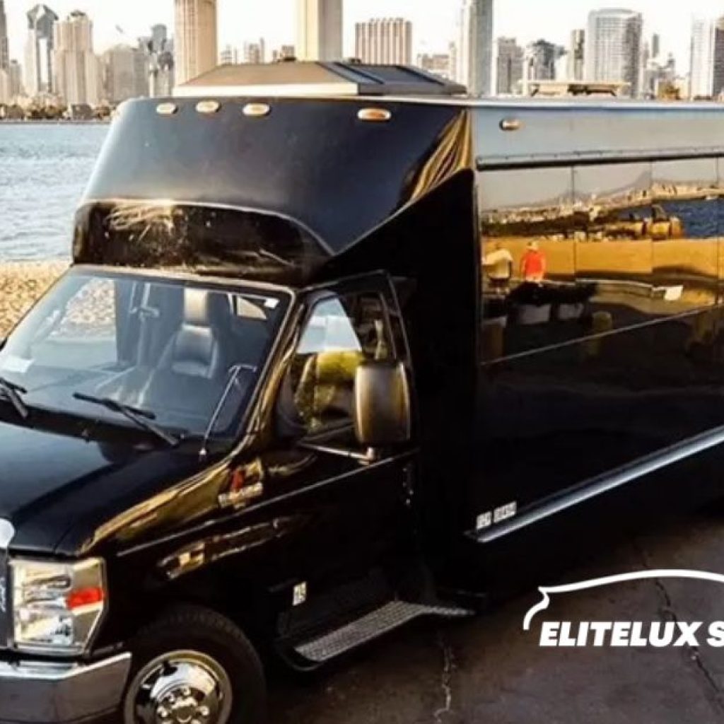 Executive Mobility for Seamless International Business Travel