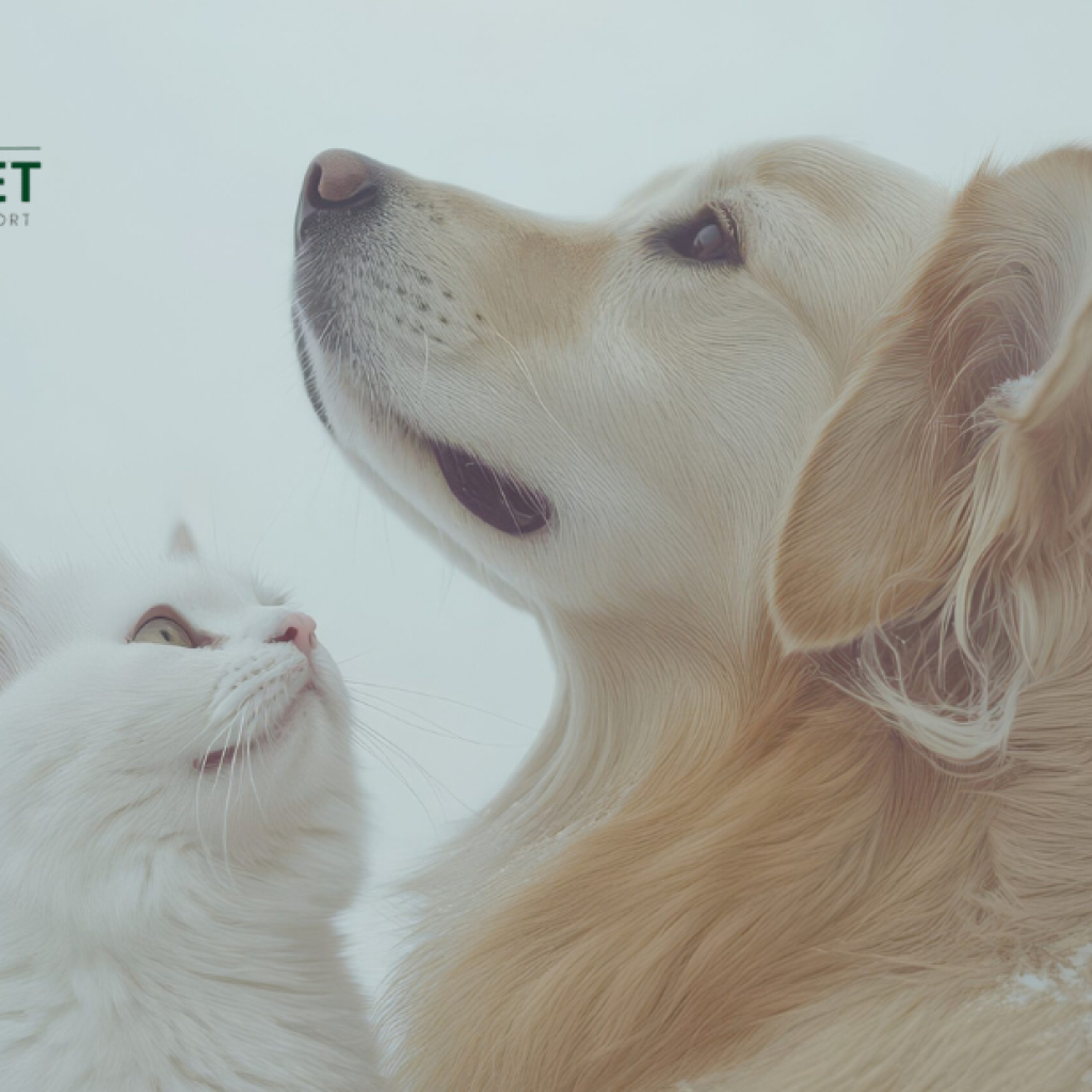 Support Your Dog’s Kidney Health Naturally