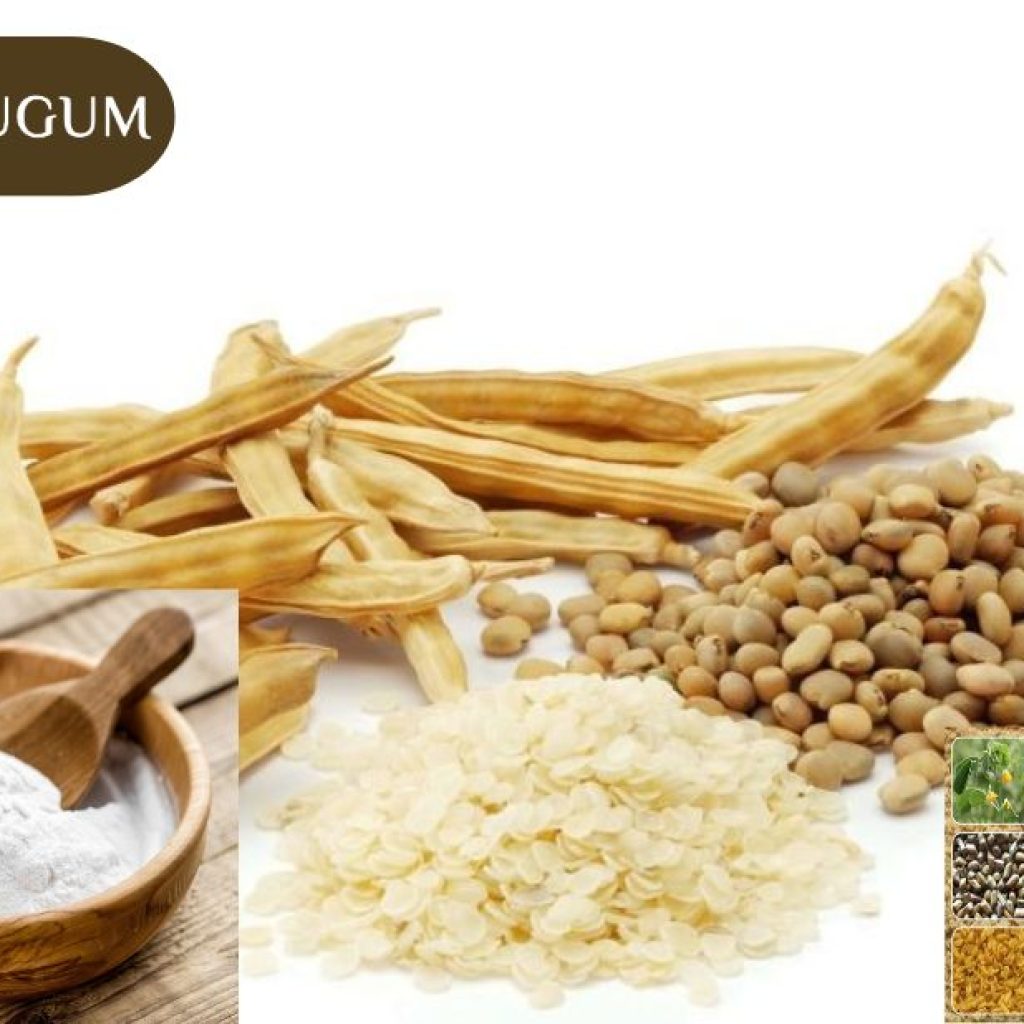 Bulk Guar Gum Powder Supplier India: Reliable Quality and Service Bulk Guar Gum Powder Supplier India: Reliable Quality and Service