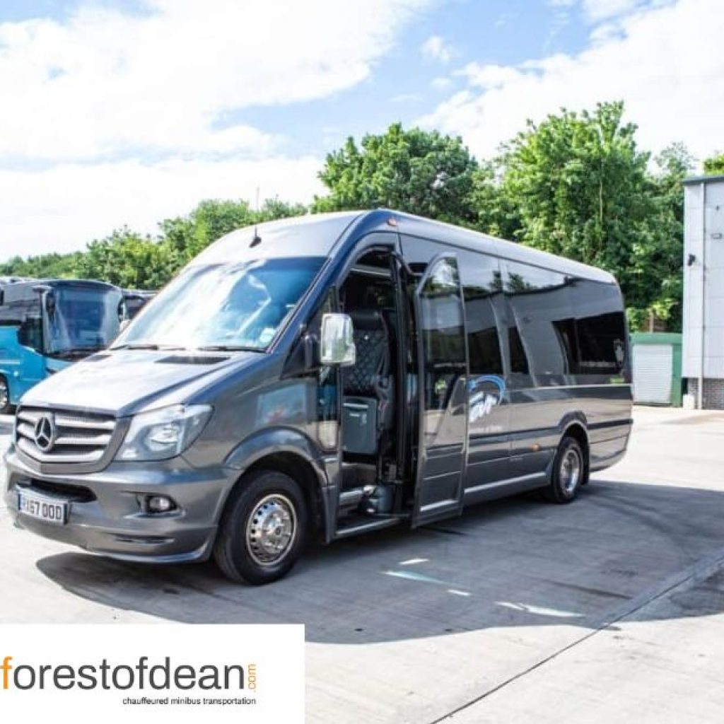 Discover a Minibus Adventure in the Forest of Dean