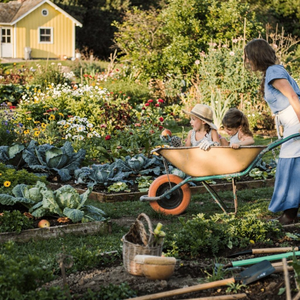 Boost Your Veg Garden for Busy Pollinators – Easy Tips