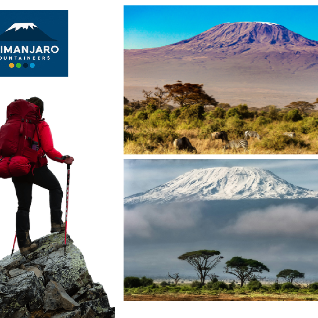 Conquer Africa’s Roof: Expert Guides for Kilimanjaro Ascents