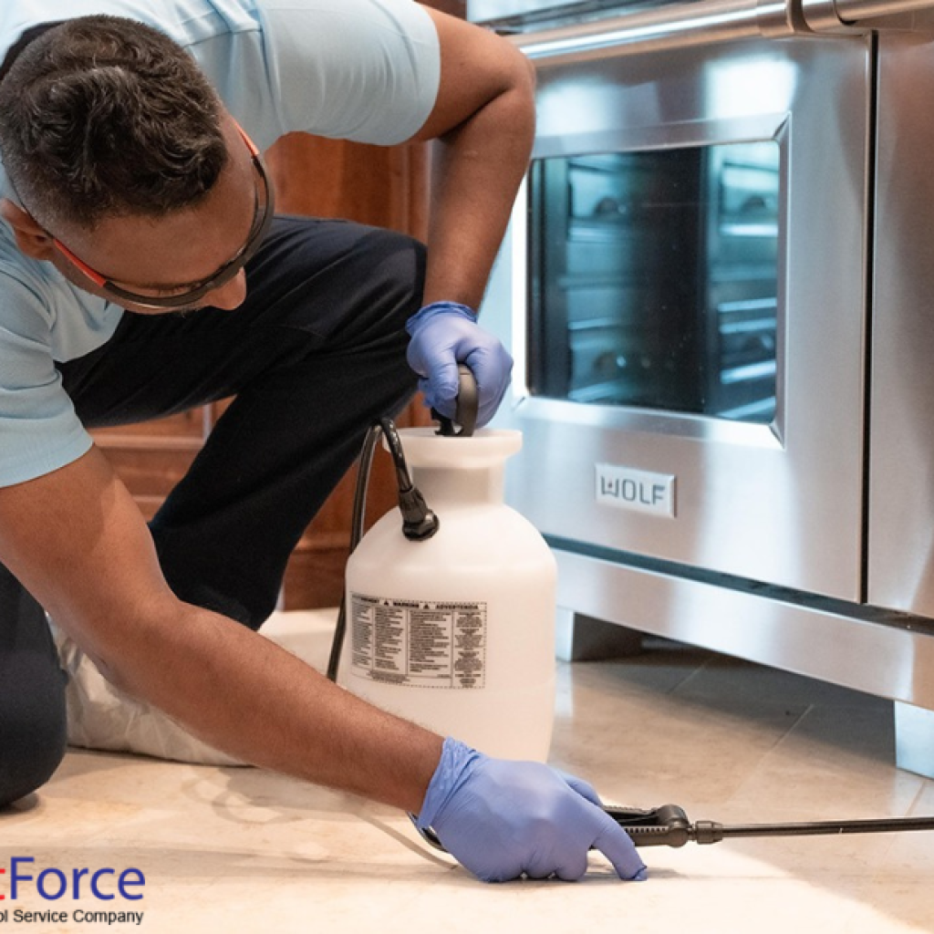 Effective Rodent Solutions for Calgary Homes and Businesses