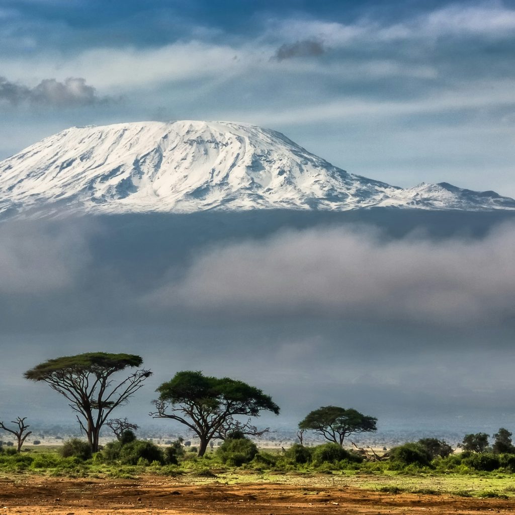 Epic Heights: Guided Kilimanjaro Expeditions for All Traversing the Roof of Africa