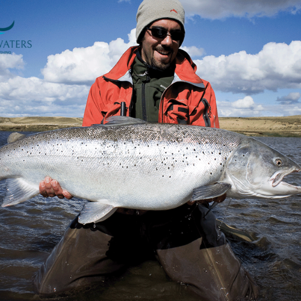 Chase the Gold: Dorado Fly Fishing in Argentina Chase the Gold: Dorado Fly Fishing in Argentina