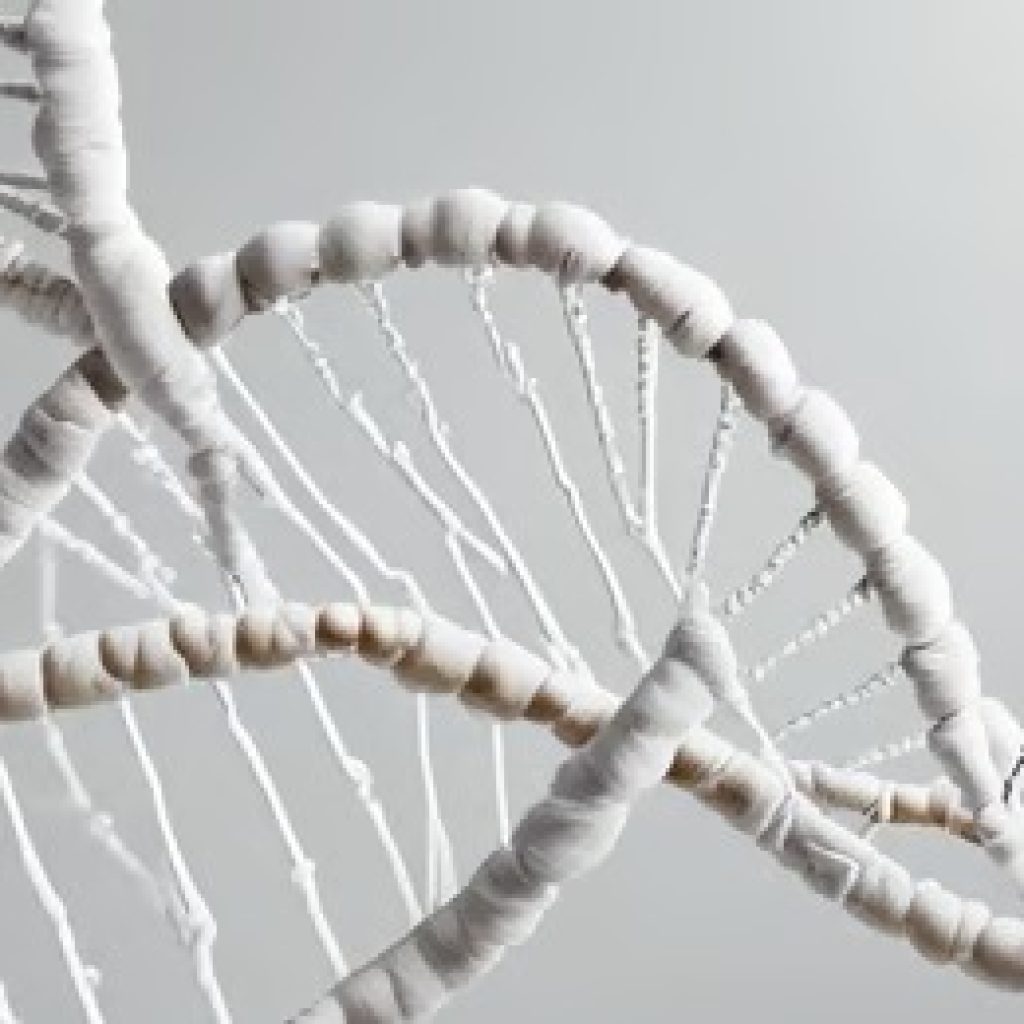 Certified UK Peptides for Safe Research