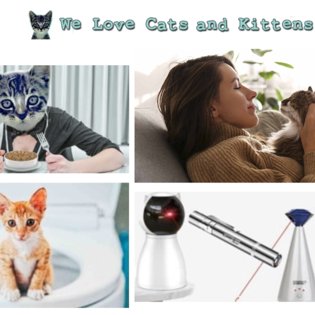Premium Organic Wet Cat Food for Keen on Wellness