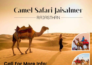 Best Camel Safari tours in Sam Sand Dunes, Jaisalmer