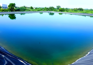 Best Pond Lining Options: Traditional vs Geomembrane Guide