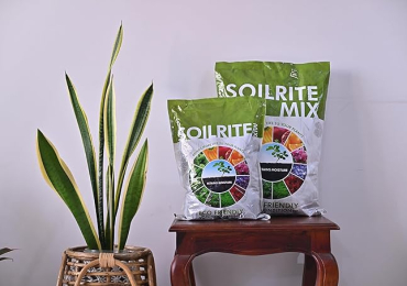 Best Soil Mixture for Plants | Keltech Energies