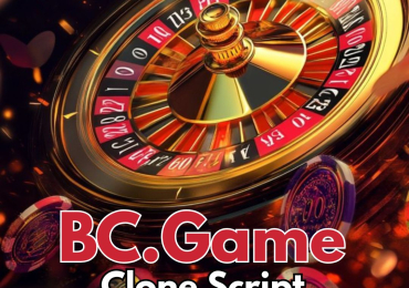 Custom BC.Game Software Ready to Redefine Gaming Excellence