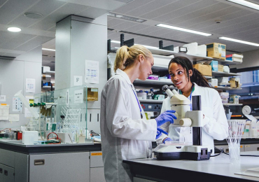 Criminal & Verification Background Checks | Students Screening Results