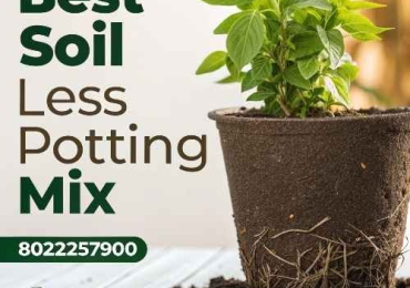 Best Soil Less Potting Mix for Healthy Roots