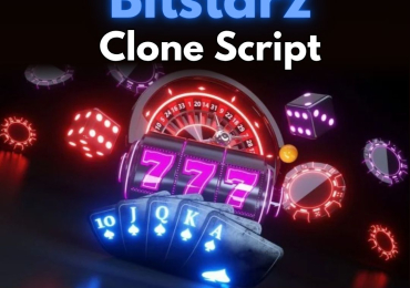 Bitstarz-Level Experience in a Clone Script That Feels Premium