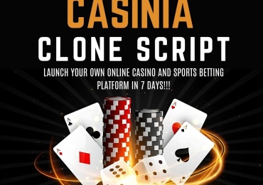 Create a Winning Casino Platform with Casinia Clone Script – Affordable & Fast!