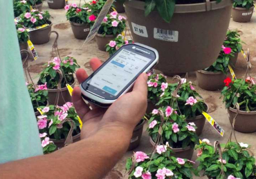 All-in-One Grower Management Software for Greenhouse Operations & Plant Nursery – Buy