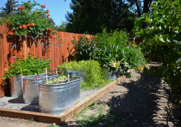 Corrugated Metal Raised Beds